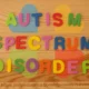 What is autism spectrum disorder?