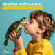 Reptiles and Germs: What You Should Know About Salmonella